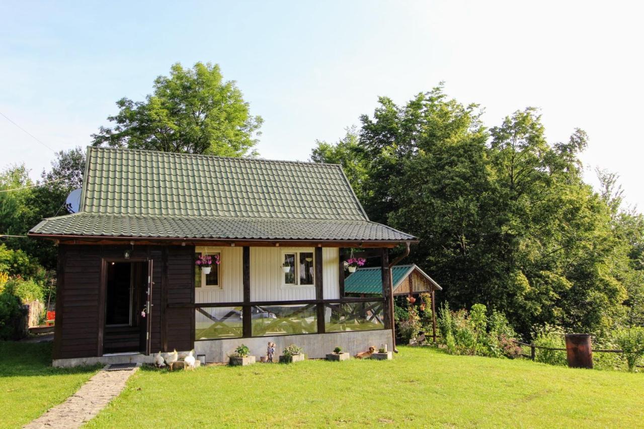 Котедж "Гірський Затишок" Jaremtsche Exterior foto