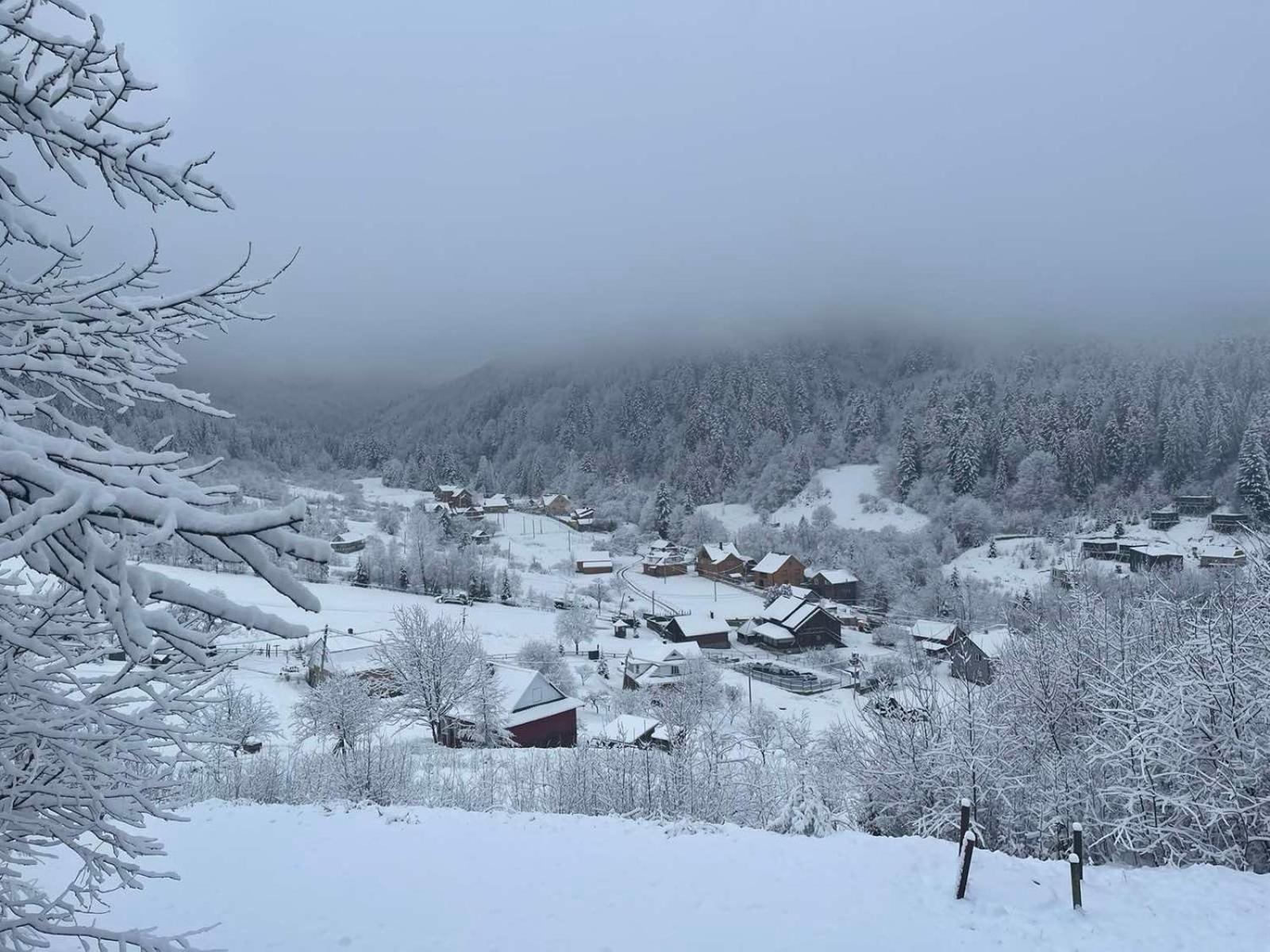 Котедж "Гірський Затишок" Jaremtsche Exterior foto